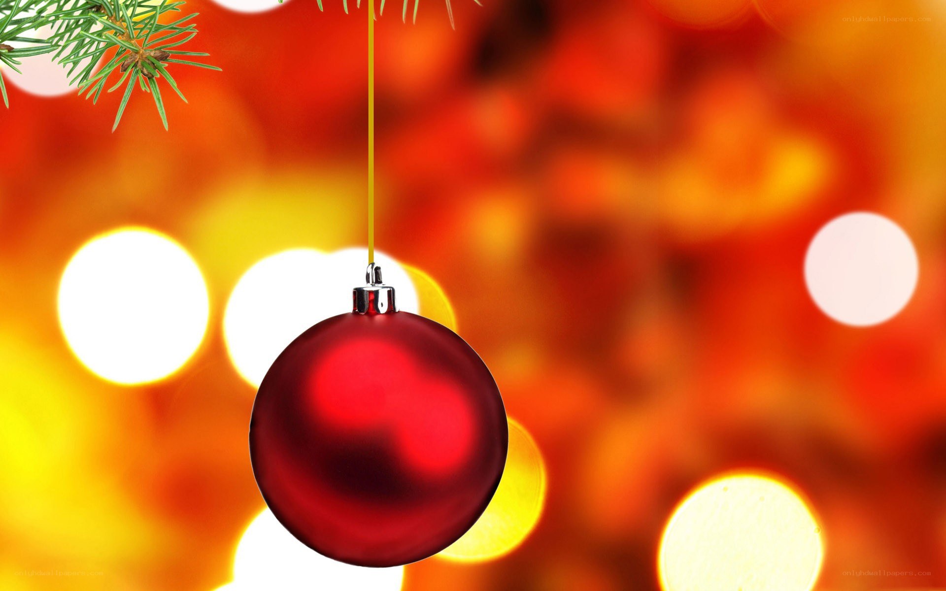 Red ornament on Christmas tree