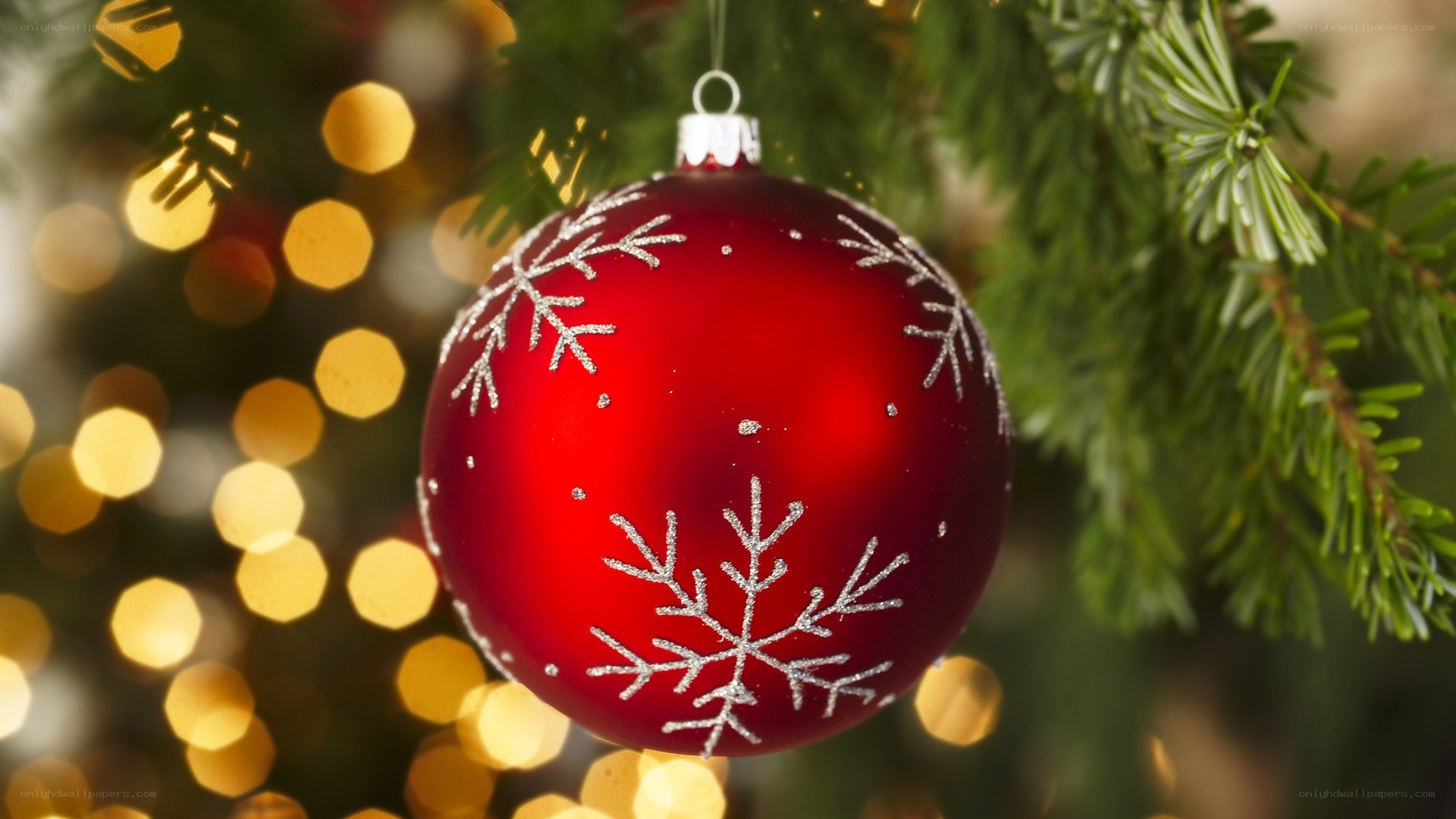 Red ornament on Christmas tree