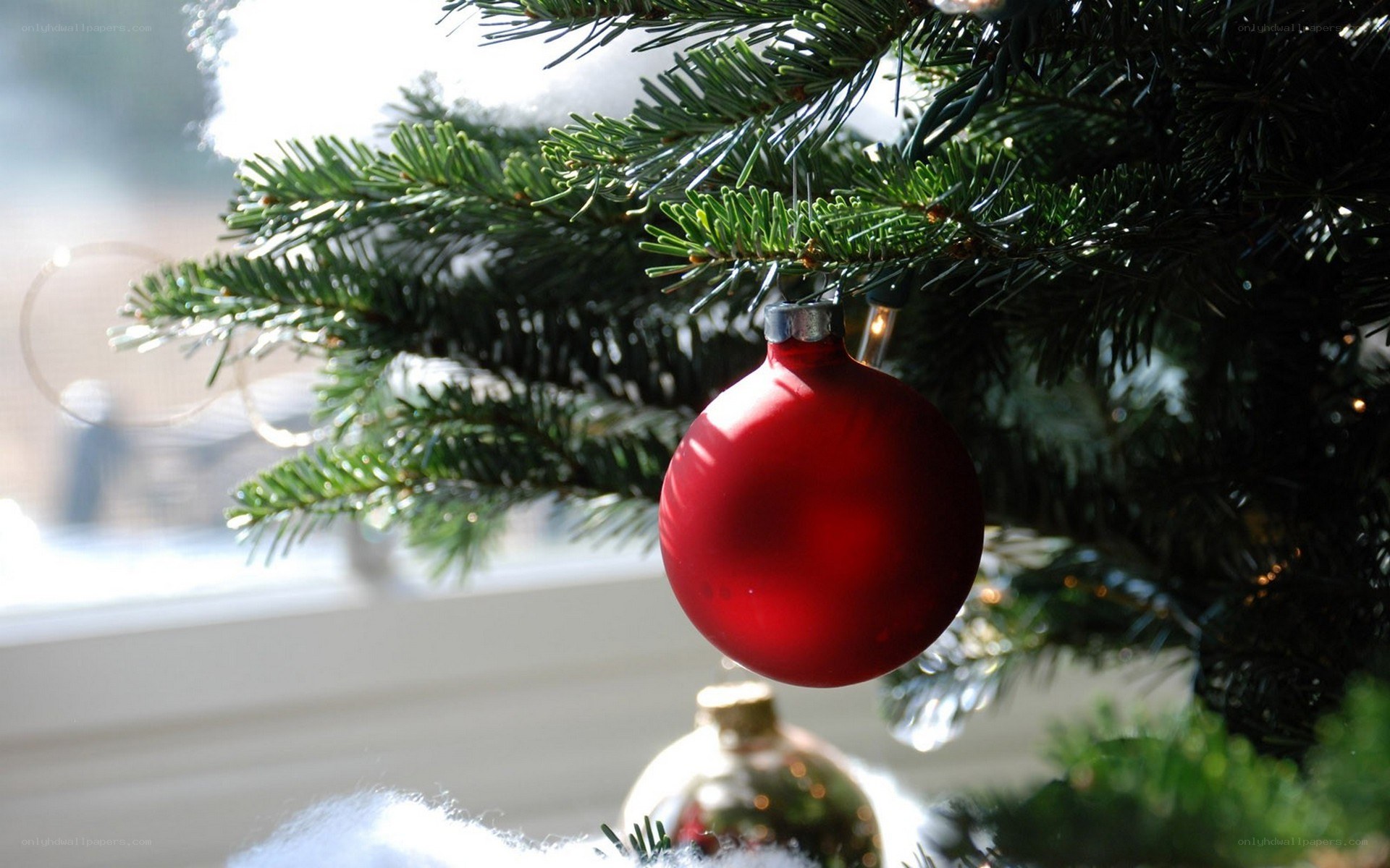 Red ornament on Christmas tree
