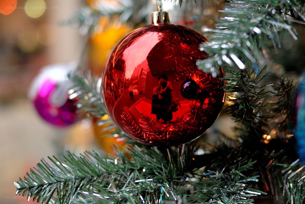 Red ornament on Christmas tree