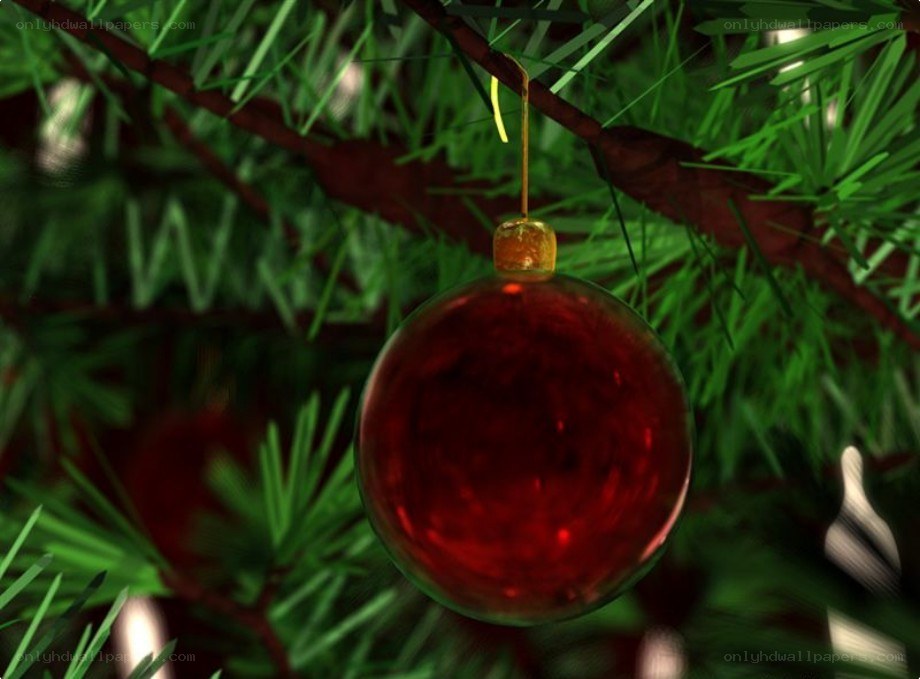 Red ornament on Christmas tree