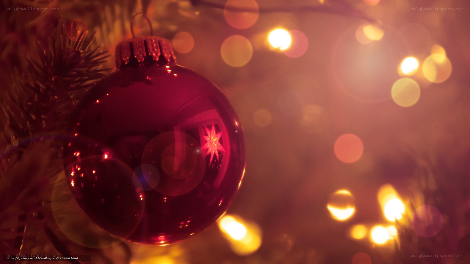 Red ornament on Christmas tree