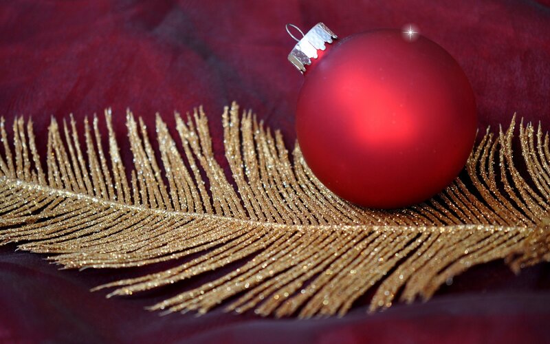 Red Ornament on Feather