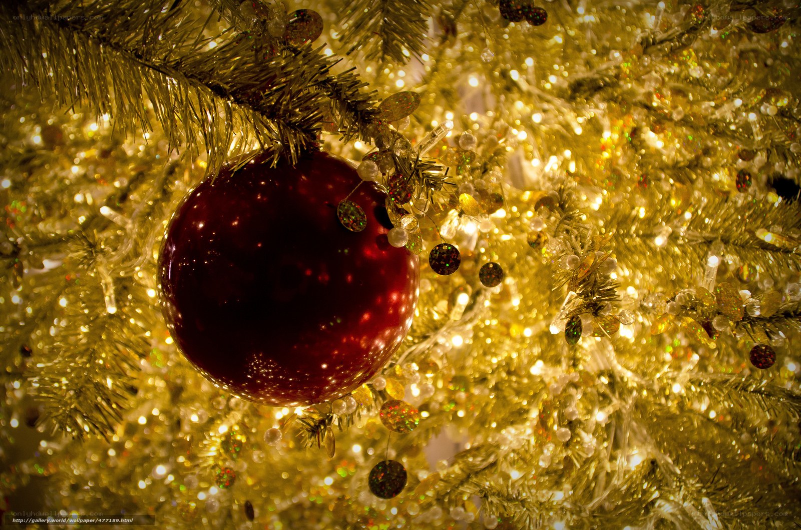 Red ornament on golden tree