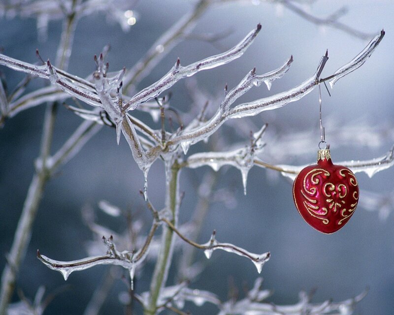 Red Ornament on Ice-covered Branch
