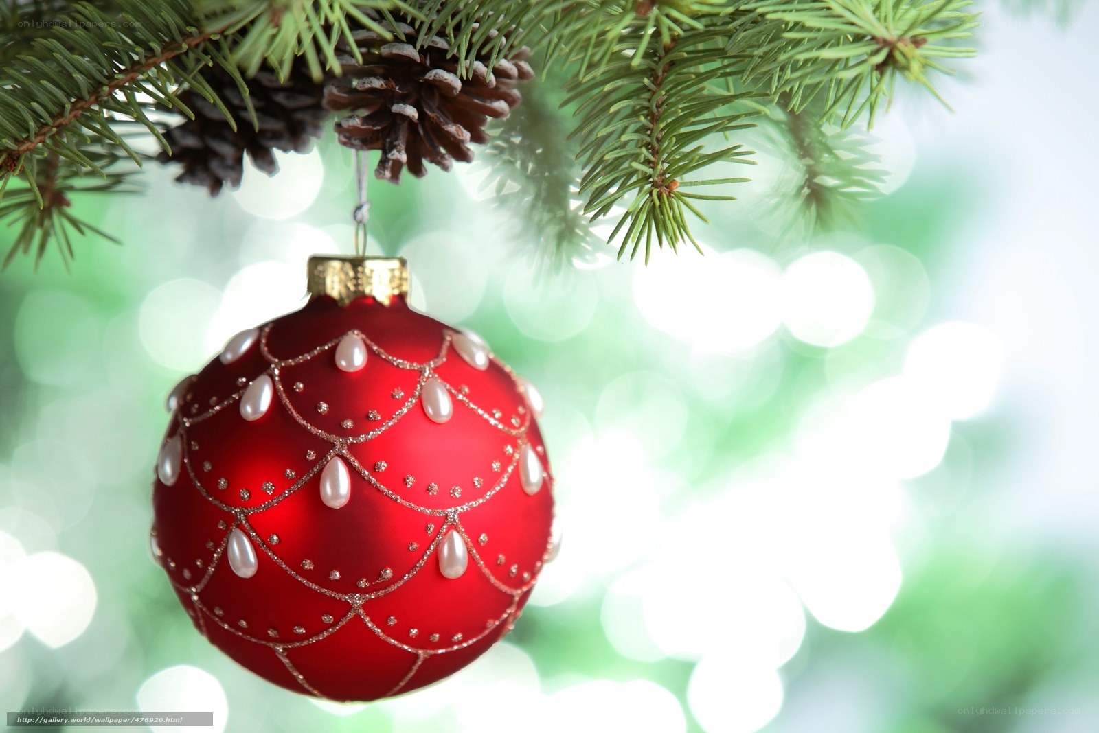 Red ornament on pine branch