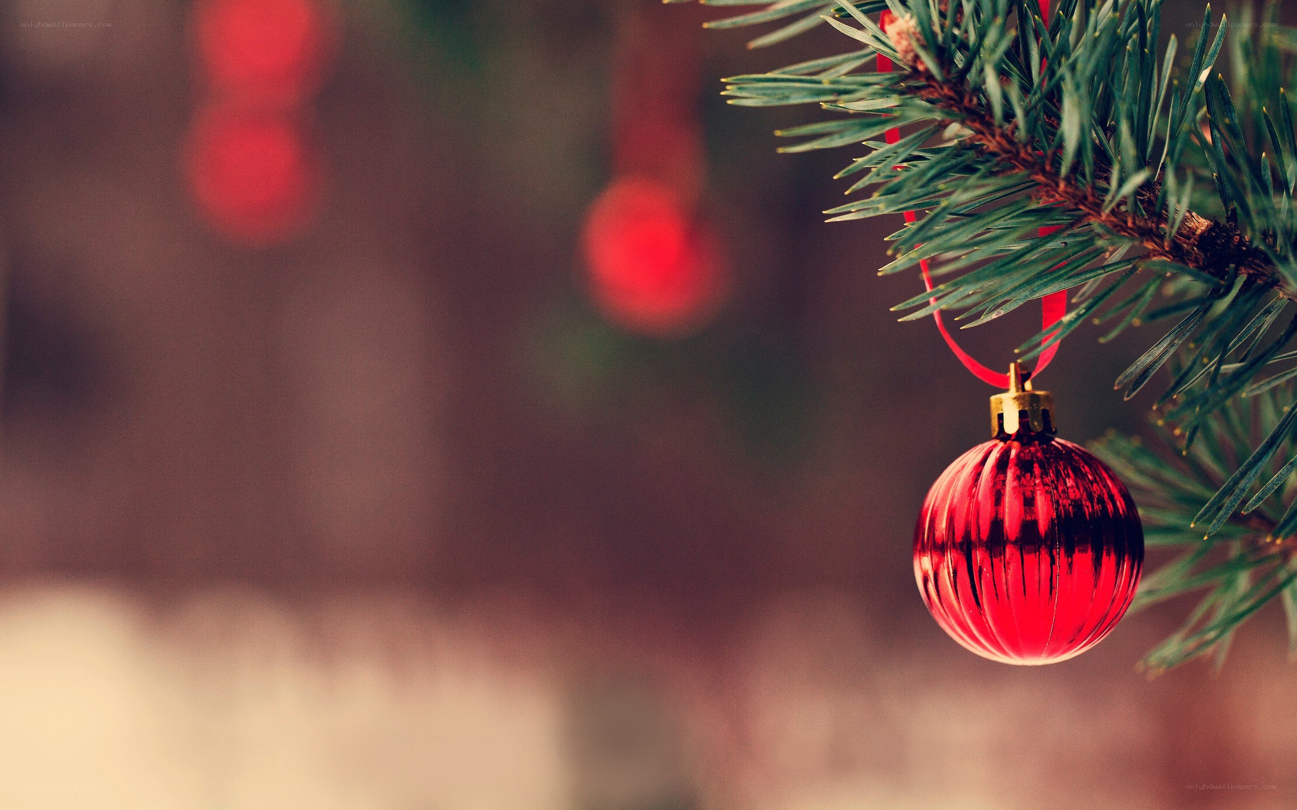 red ornament on pine branch