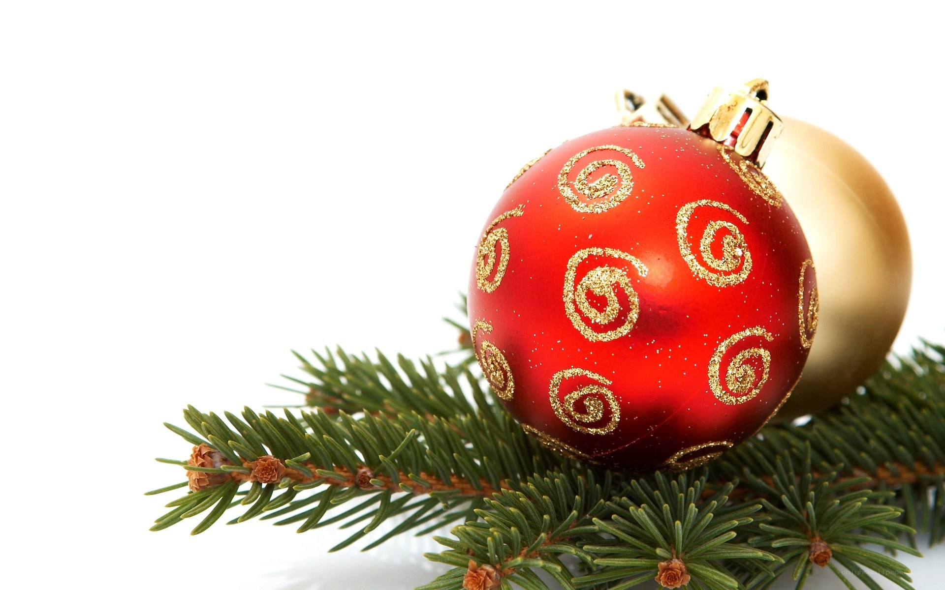 Red ornament on pine branch