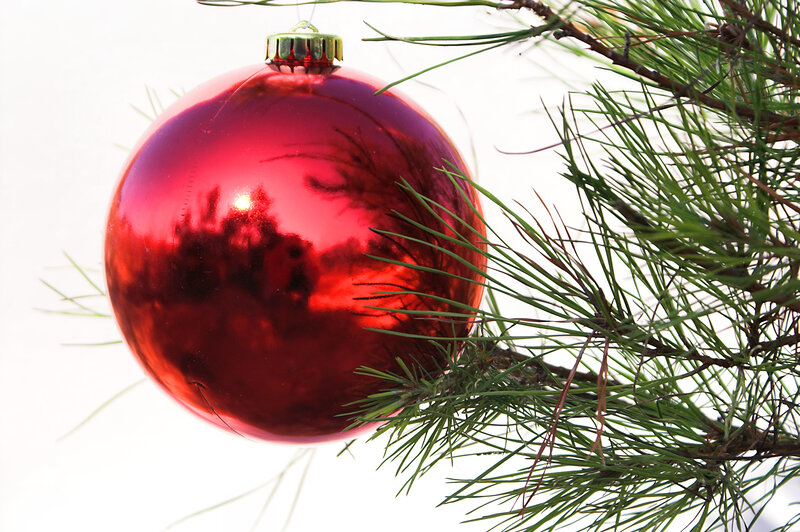 Red Ornament on Pine Branch — Festive