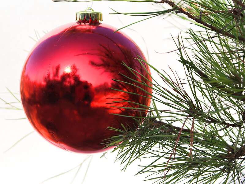 Red Ornament on Pine Branch — Festive, Winter, Photograph, Pine Needles, Green