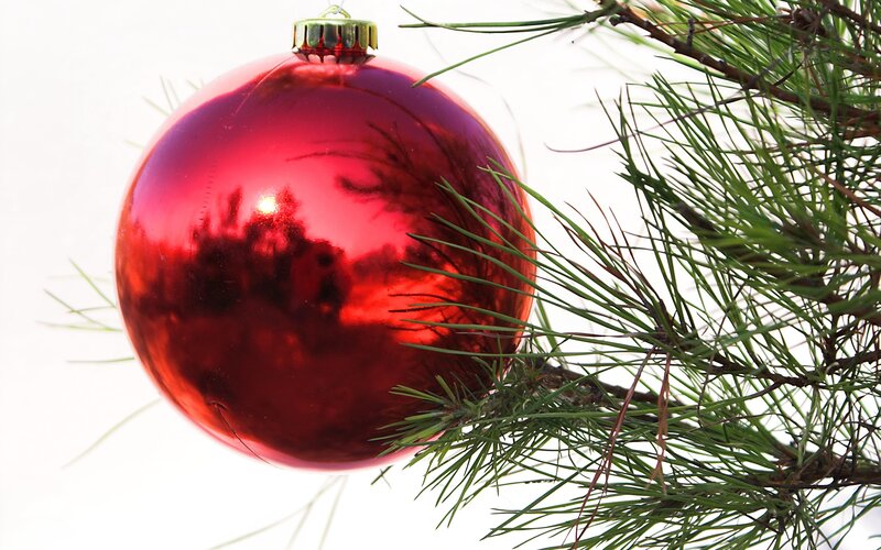 Red Ornament on Pine Branch — Festive, Winter, Photograph, Pine Needles, Green, White