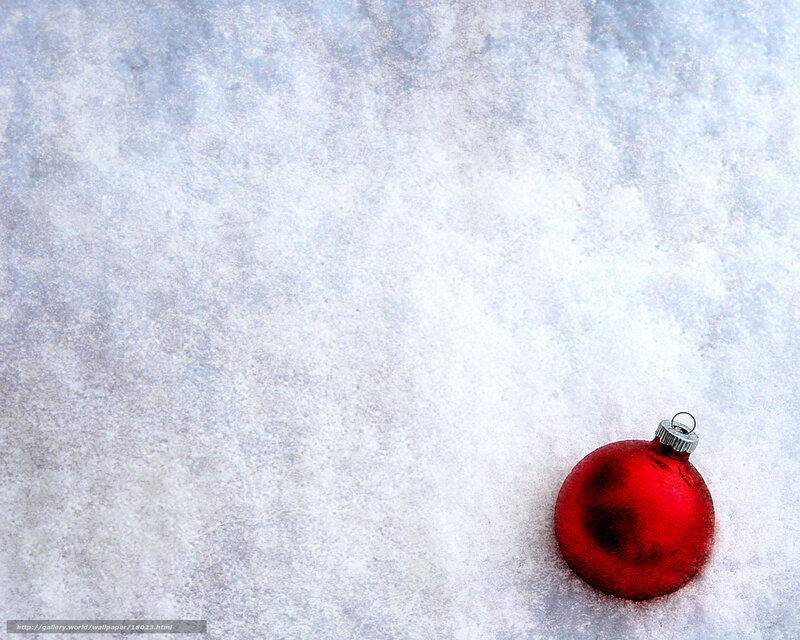 Red ornament on snow