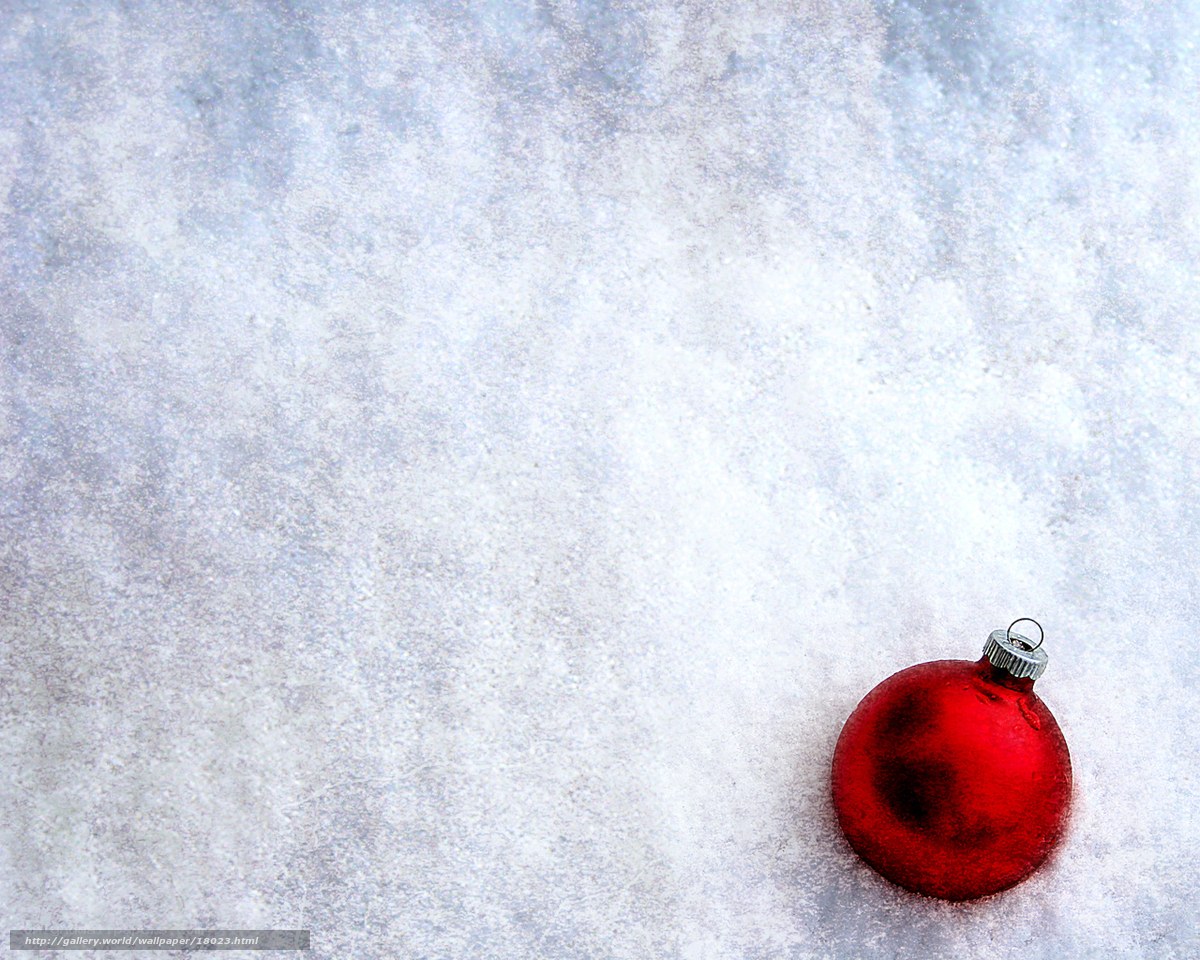Red ornament on snow