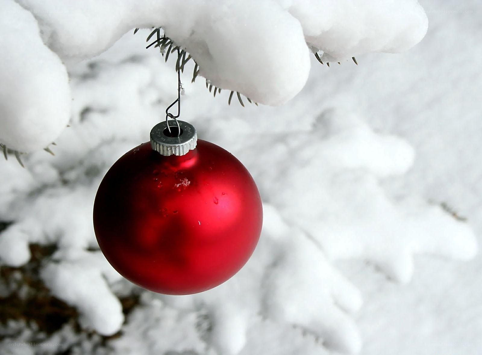 Red ornament on snowy branch