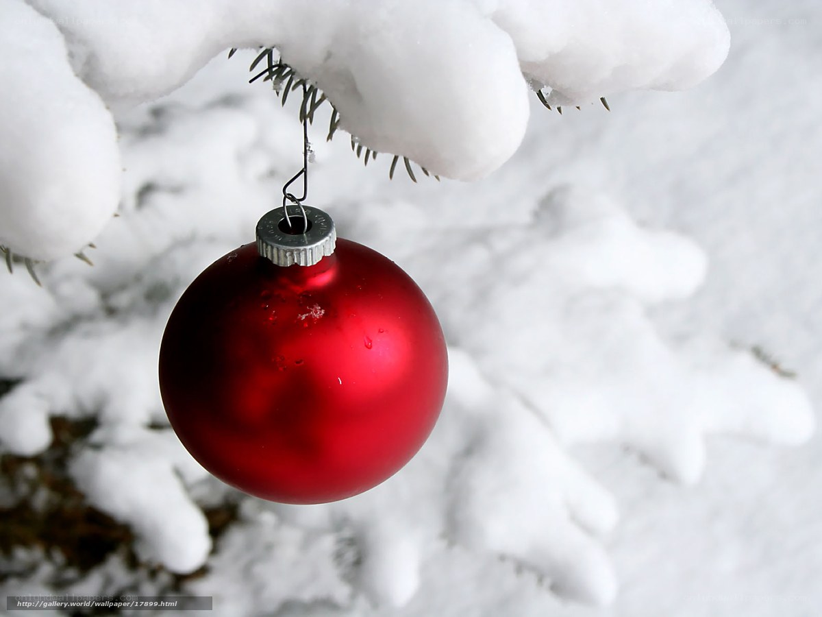 Red ornament on snowy branch