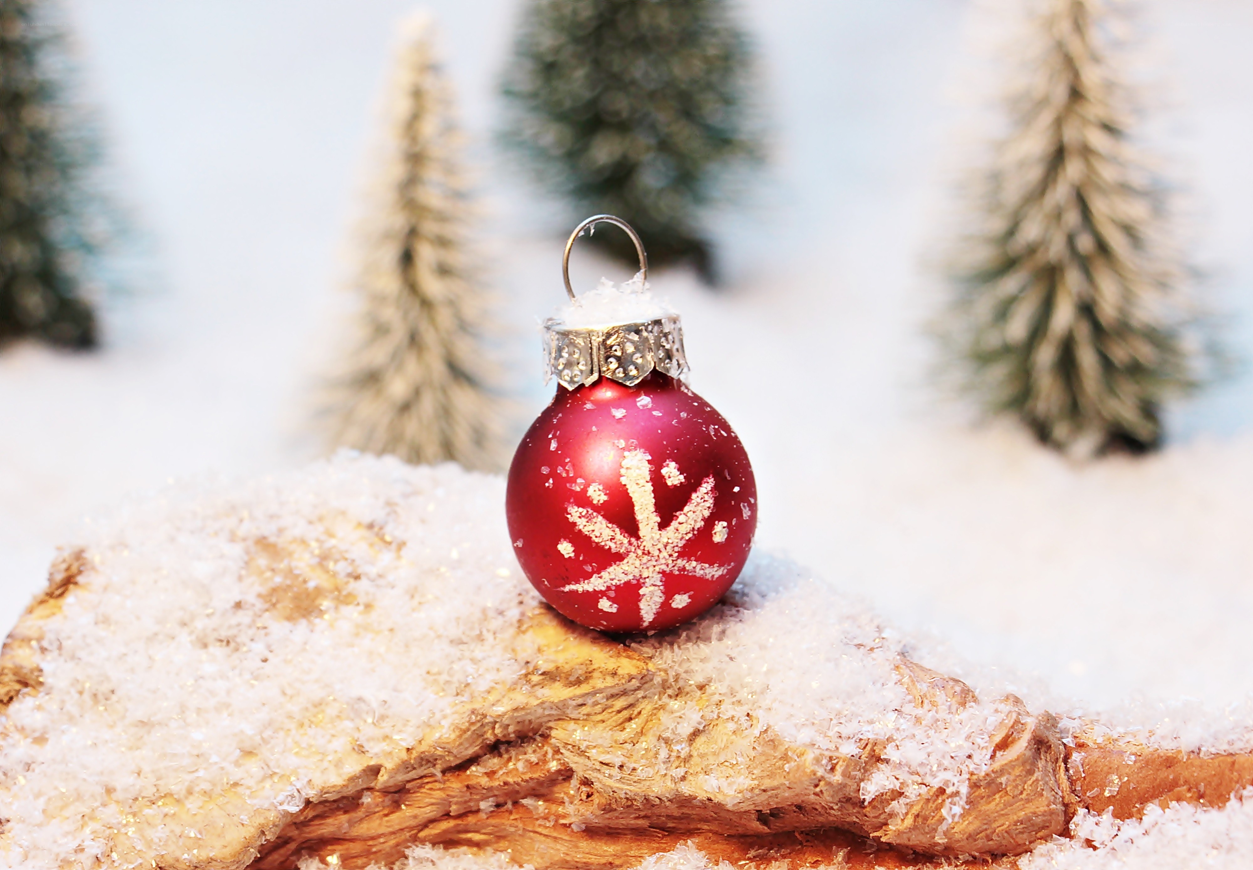 Red ornament on snowy log