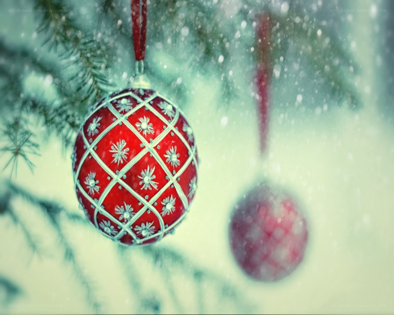 Red ornament on snowy tree