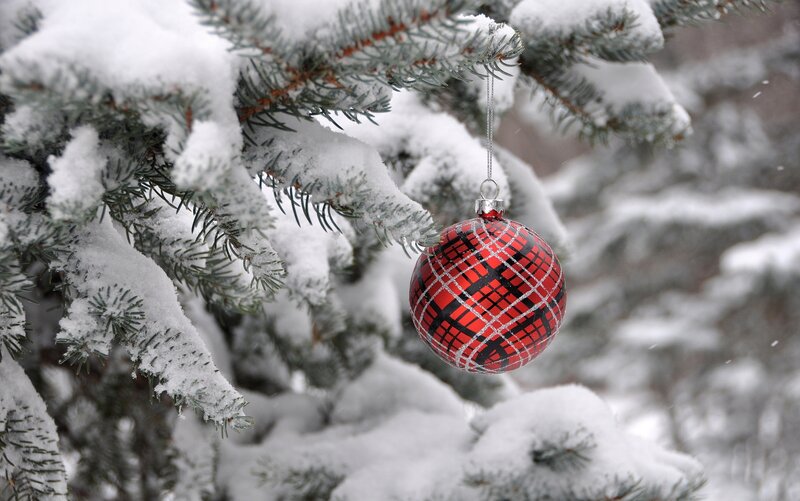 Red Ornament on Tree — Calm, Winter, Photograph, Snow