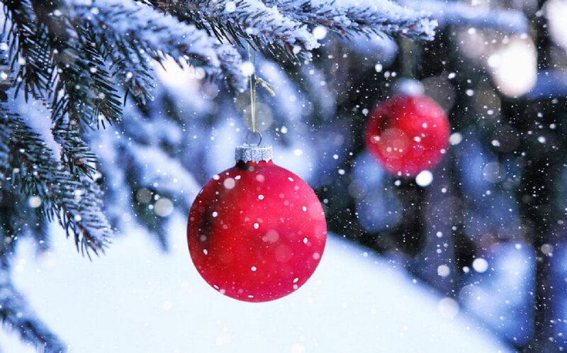 Red Ornament on Tree — Calm, Winter, Photograph, Snow, Tree Branch