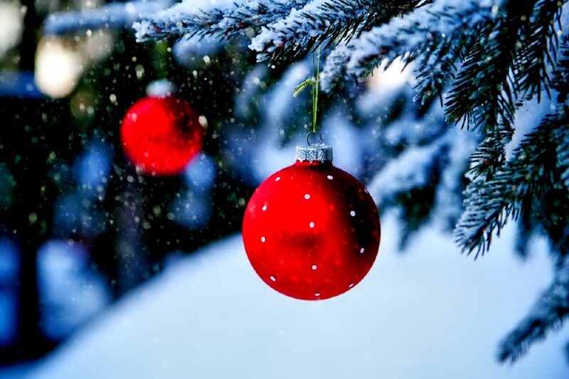 Red Ornament on Tree — Calm, Winter, Photograph