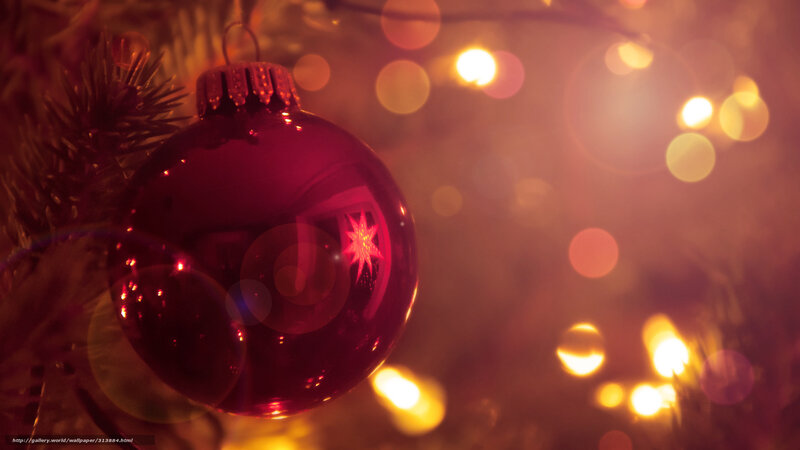 Red Ornament on Tree — Festive, Night, Photograph, Christmas Lights, Pine Branch
