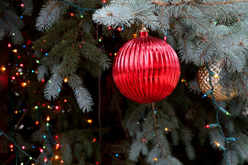 Red Ornament on Tree — Festive, Night, Photograph, Christmas Lights, Pine Branches, Gold Ornament