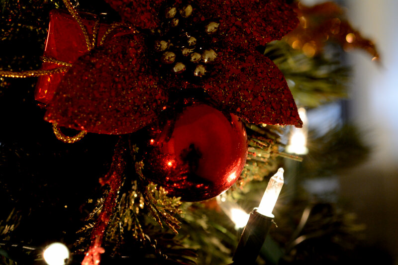 Red Ornament on Tree — Festive, Night, Photograph, Light