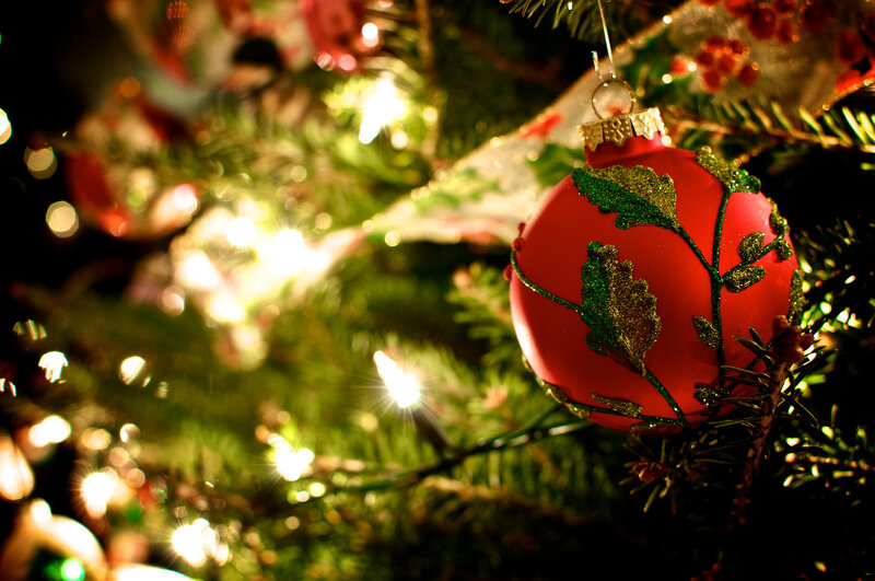 Red Ornament on Tree — Festive, Night, Photograph, Lights, Branches
