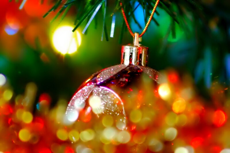 Red Ornament on Tree — Festive, Night, Photograph, Tree Branch, Lights