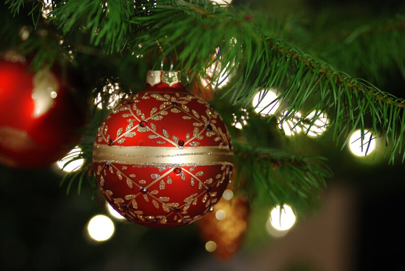Red Ornament on Tree — Festive, Night, Photograph, Tree Branch