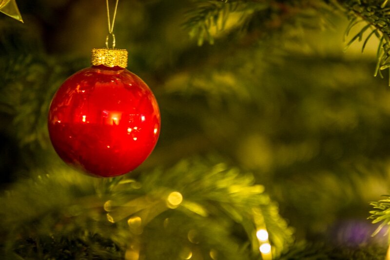 Red Ornament on Tree — Festive, Night, Photograph, Tree Branches, Lights
