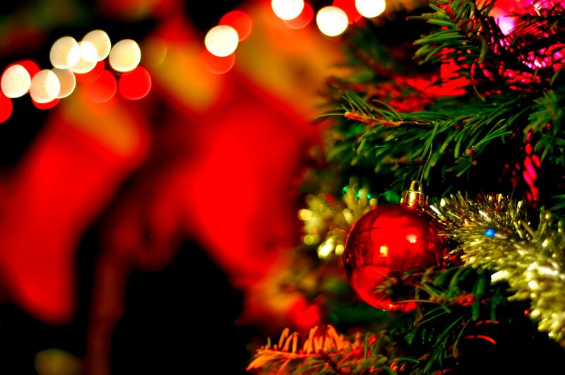 Red Ornament on Tree — Festive, Night, Photograph, Tree Branches