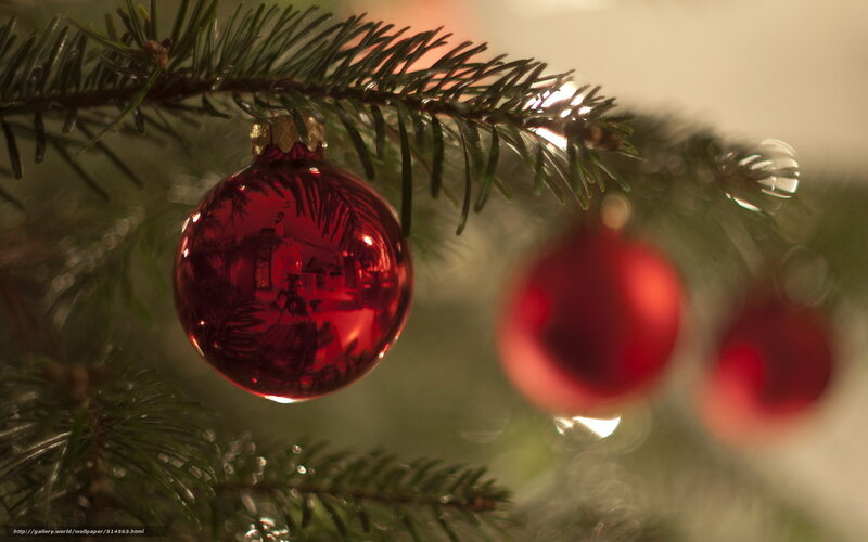 Red Ornament on Tree — Festive, Winter, Photograph, Pine Branch, Bokeh