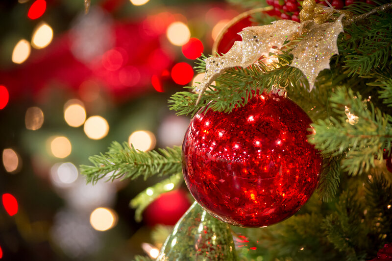 Red Ornament on Tree — Festive, Winter, Photograph, Pine Branch, Lights