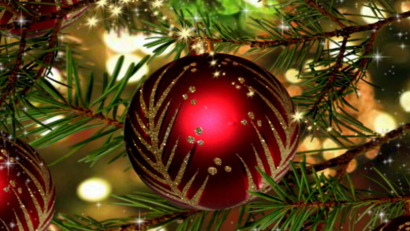 Red Ornament on Tree — Festive, Winter, Photograph, Pine Branches