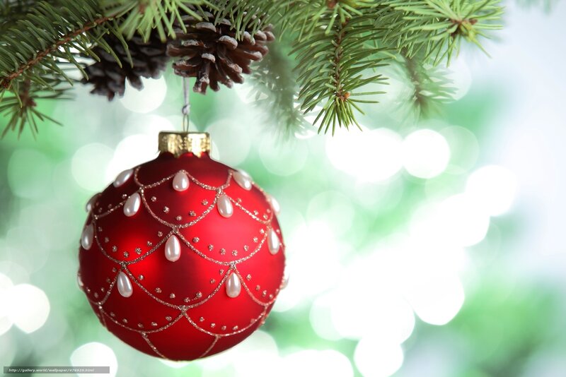 Red Ornament on Tree — Festive, Winter, Photograph, Pine Cone, Tree Branch