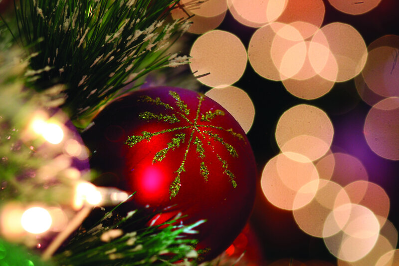 Red Ornament on Tree — Festive, Winter, Photograph, Pine Needles, Lights