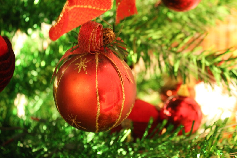 Red Ornament on Tree — Festive, Winter, Photograph, Ribbon