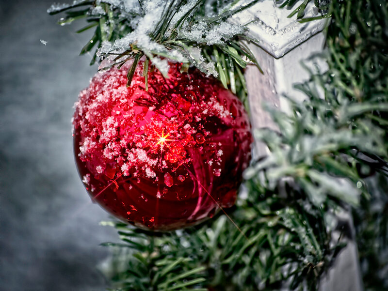 Red Ornament on Tree — Festive, Winter, Photograph, Snow