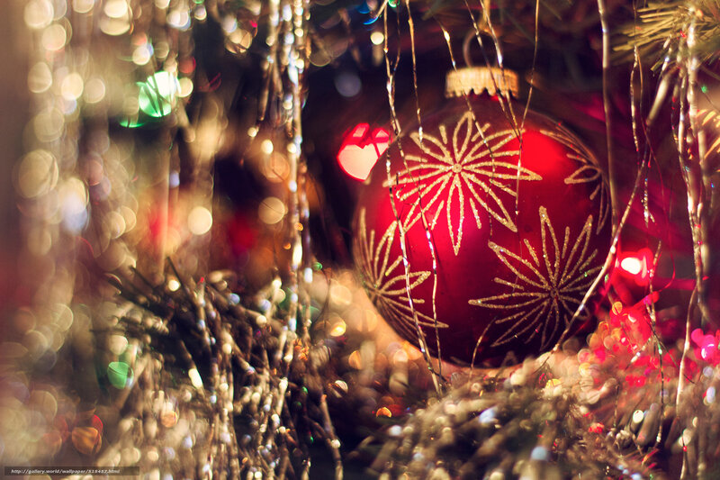 Red Ornament on Tree — Festive, Winter, Photograph, Tinsel