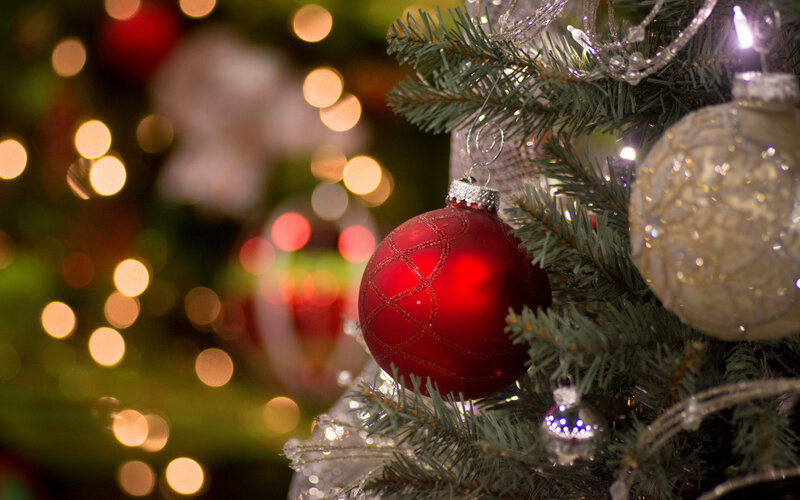 Red Ornament on Tree — Festive, Winter, Photograph, Tree Branch
