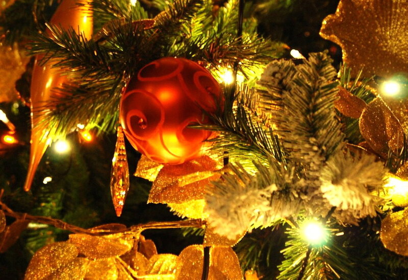 Red Ornament on Tree — Green, Festive, Night