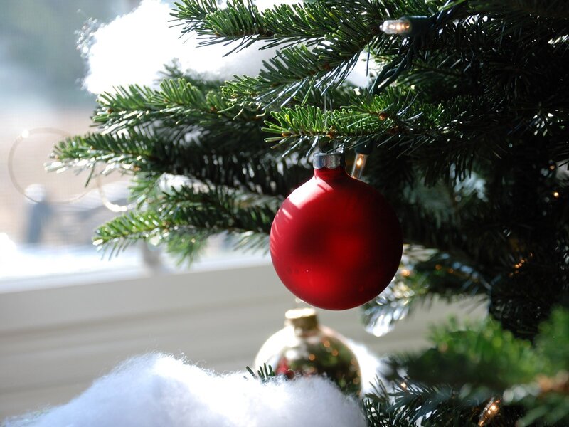 Red Ornament on Tree — Green, Festive, Winter, Photograph, Christmas Tree, Snow