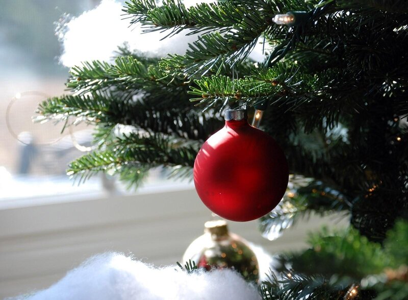 Red Ornament on Tree — Green, Festive, Winter, Photograph, Christmas Tree