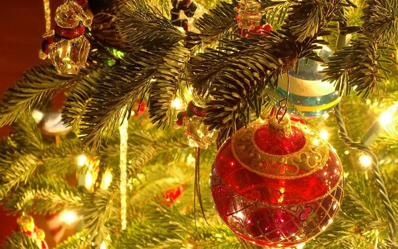 Red Ornament on Tree — Green, Festive, Winter, Photograph, Lights
