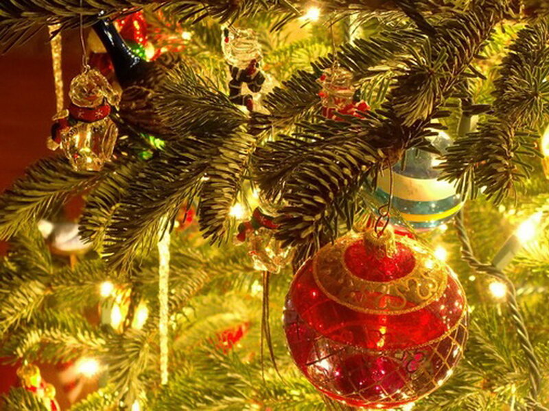 Red Ornament on Tree — Green, Festive, Winter, Photograph, Ornaments, Lights, Pine Branches