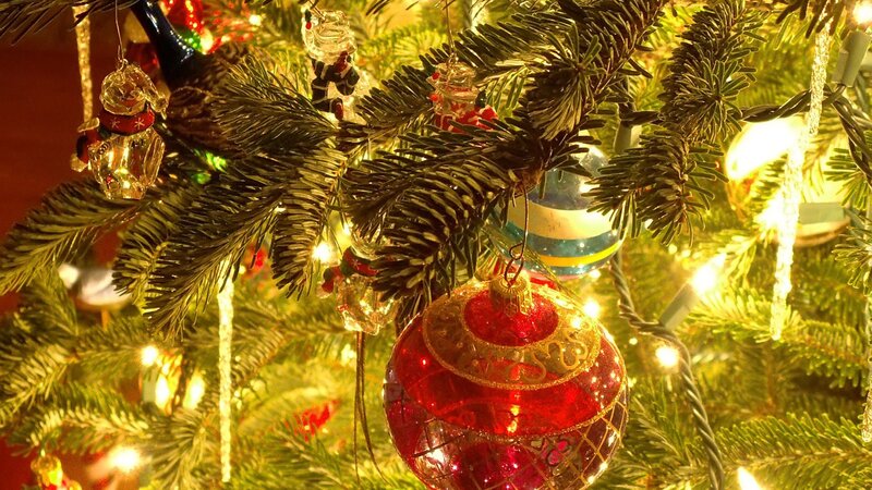 Red Ornament on Tree — Green, Festive, Winter, Photograph, Ornaments, Lights
