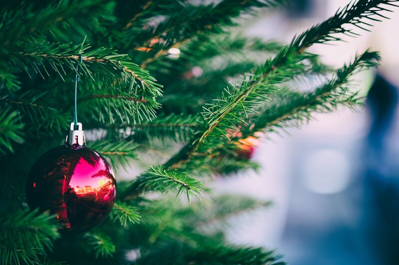 Red Ornament on Tree — Green, Festive, Winter, Photograph, Pine Needles