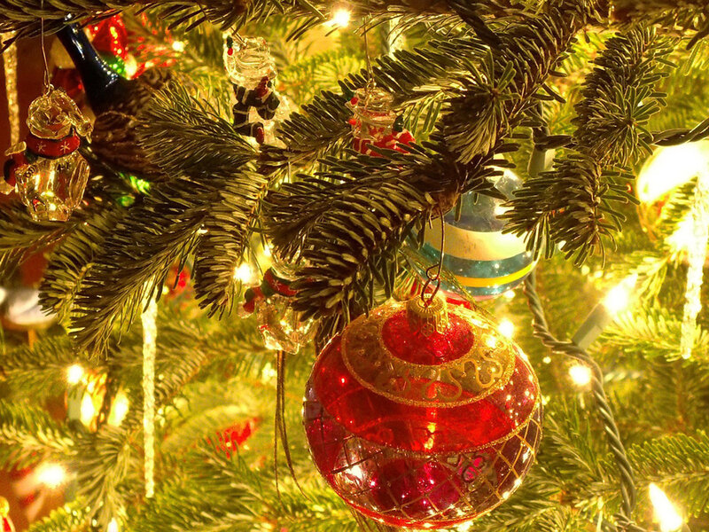 Red Ornament on Tree — Green, Festive, Winter