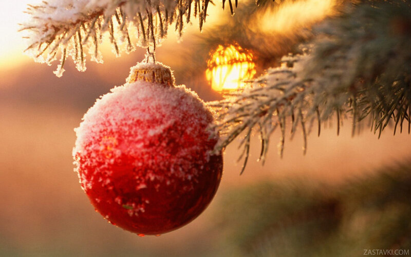 Red Ornament on Tree — Peaceful